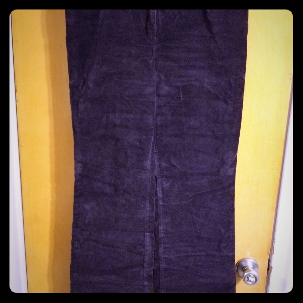 Deep Purple Brushed Corduroy pants